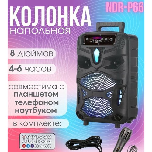 Портативная акустическая колонка NDR-P55 40вт bluetooth usb 393000₽