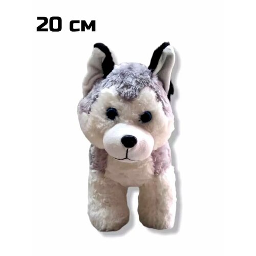 Собака Хаски