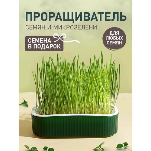 Проращиватель для микрозелени и травы для кошек