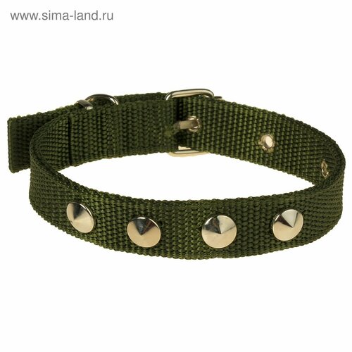 Ошейник клепаный, 40,5 х 2 см, полиэстер, темно-зелёный