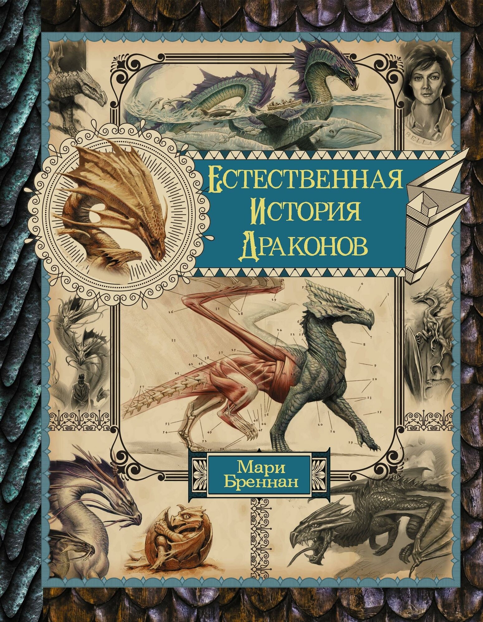 Бреннан М. Естественная история драконов. Омнибус. Весь(гигант)