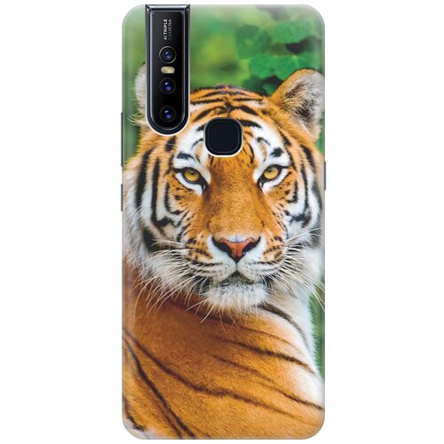 фото Re:pa накладка transparent для vivo v15 с принтом "портрет тигра"