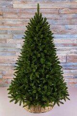 Искусственная елка Лесная Красавица 215 cм, леска + ПВХ, Triumph Tree 73207