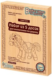 Выжигание. Доски для выжигания 5 шт "Первые шаги"