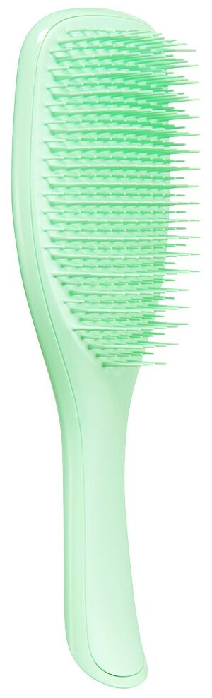 Расческа для волос Tangle Teezer The Wet Detangler Mint Karma