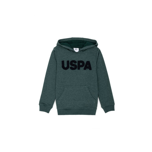 фото Худи u.s. polo assn., размер 8_9, зеленый