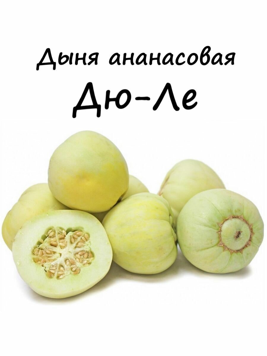Семена Дыня хрустящая Японская (Дю-Ле) 3 шт.