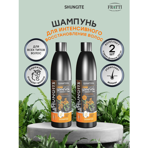 Шунгит, Шампунь Сила Шунгита для интенсивного восстановления волос, 330 мл - 2 штуки