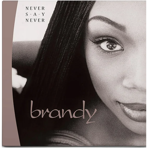 Виниловая пластинка BRANDY / NEVER SAY NEVER - CRYSTAL CLEAR VINYL (2LP) jackson joshilun never have i ever