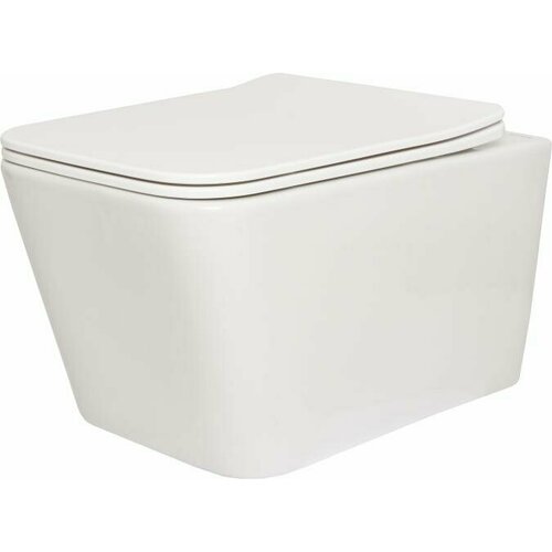 Подвесной унитаз San More Ispirare SMT971902 безободковый, с микролифтом, белый