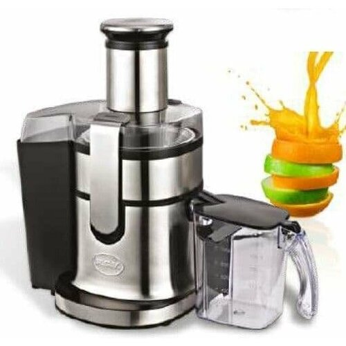 Соковыжималка RGV Industrial Juicer