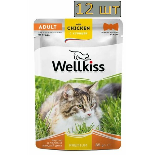 Wellkiss Adult Влажный корм (пауч) для взрослых кошек, с курицей в желе, 85 гр.