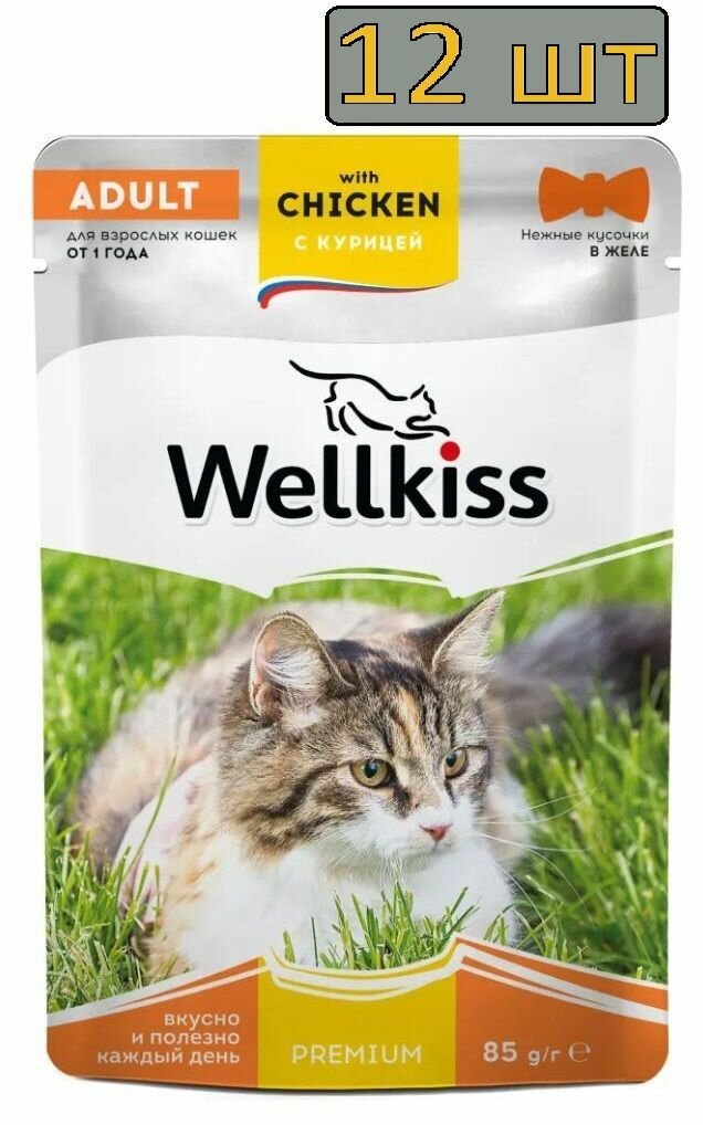 Wellkiss Adult Влажный корм (пауч) для взрослых кошек, с курицей в желе, 85 гр.