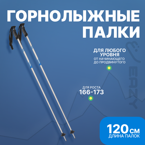 Лыжные горнолыжные палки Eazyrent 120 см / Рост 166-173 см