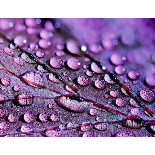 Картина на холсте 