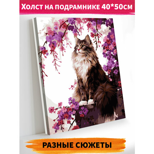 фото Картина по номерам кот холст на подрамнике 40х50 см задумчивый кот happy art