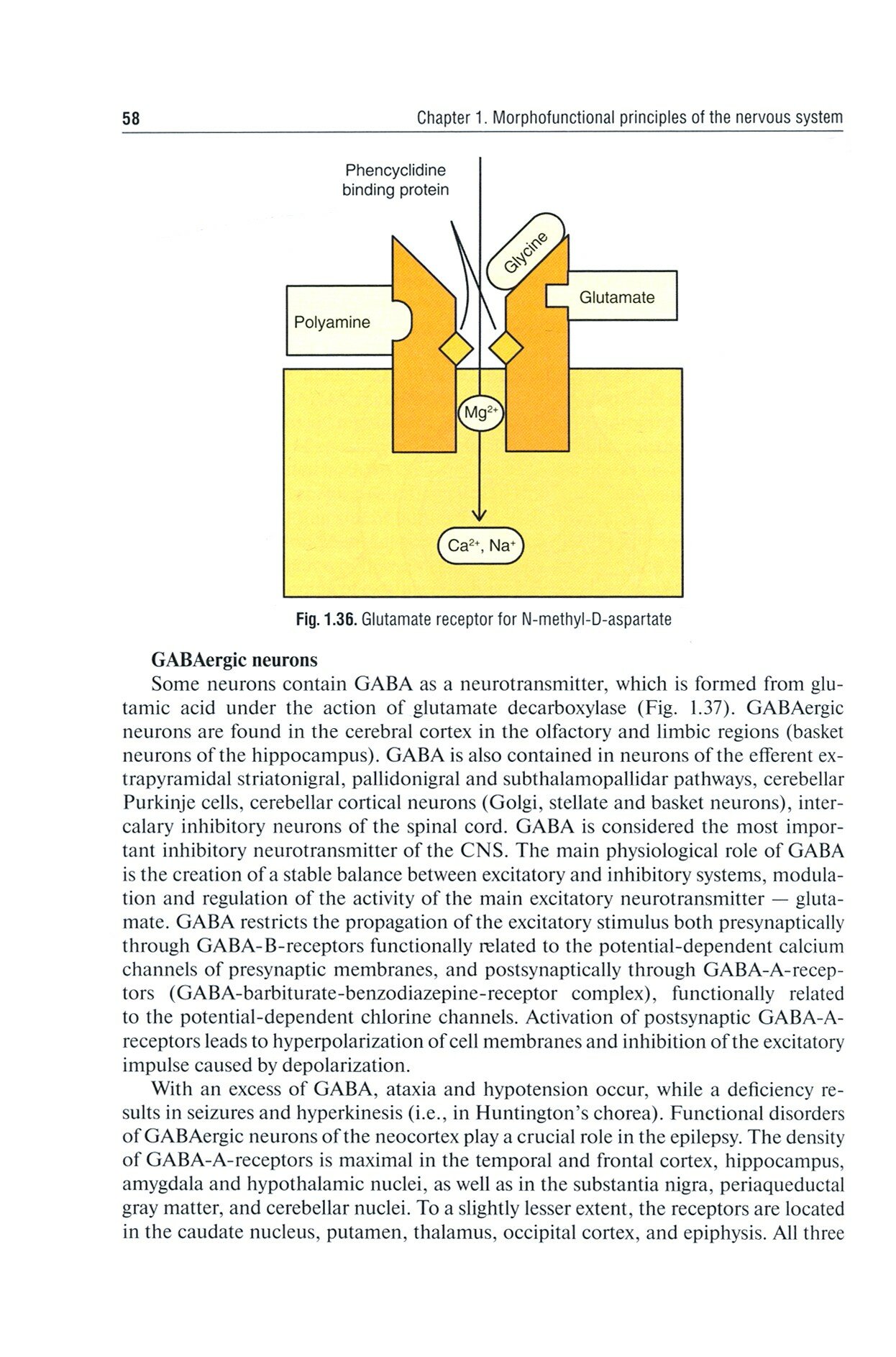 Neurology and neurosurgery. In 2 Volumes. Volume 1. Neurology - фото №3