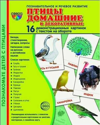 Птицы домашние и декоративные. 16 демонстрационных картинок - фото №5