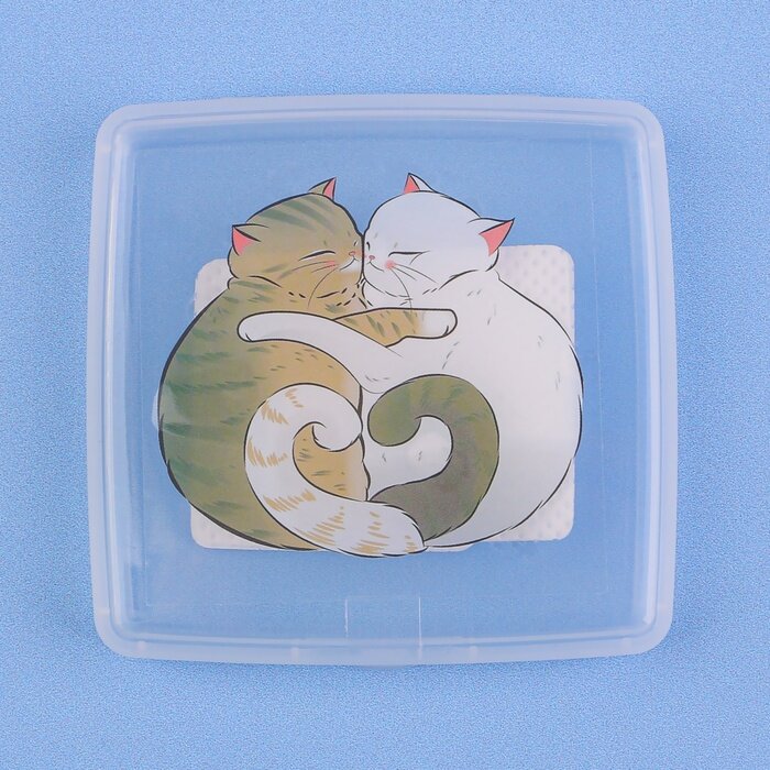 Органайзер для хранения гигиенических принадлежностей «Котики», 9,5 × 9,5 × 1,5 см, цвет прозрачный