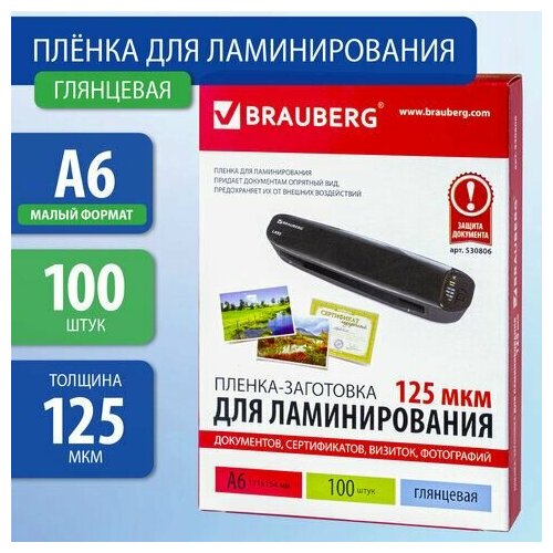 Пленки-заготовки д/ламинирования А6 100шт 125мкм пленки заготовки д ламинирования малого формата а6 комплект 100шт 125 мкм brauberg 530806