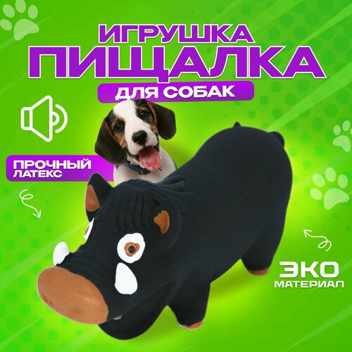 Интерактивная игрушка для собак средних и крупных пород , Кабан хрюкающий
