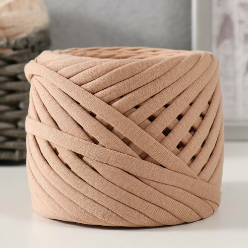 Лицевая трикотажная пряжа 20010 г Какао 967₽