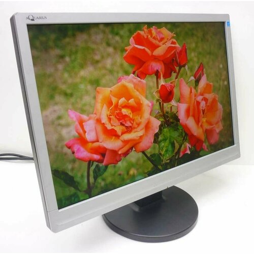 Монитор 19 дюймов широкий tf1910w ref 279900₽