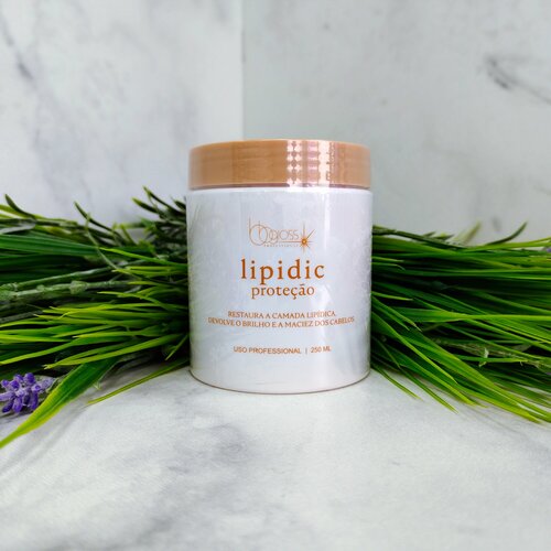 BB Gloss Lipidic Protecao маска-подложка - 250 мл 1850₽