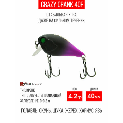 Воблер для рыбалки Mottomo Crazy Crank 40F 4,2g кренк плавающий для спиннинга, троллинга. Приманка язя, щуку Black Violet