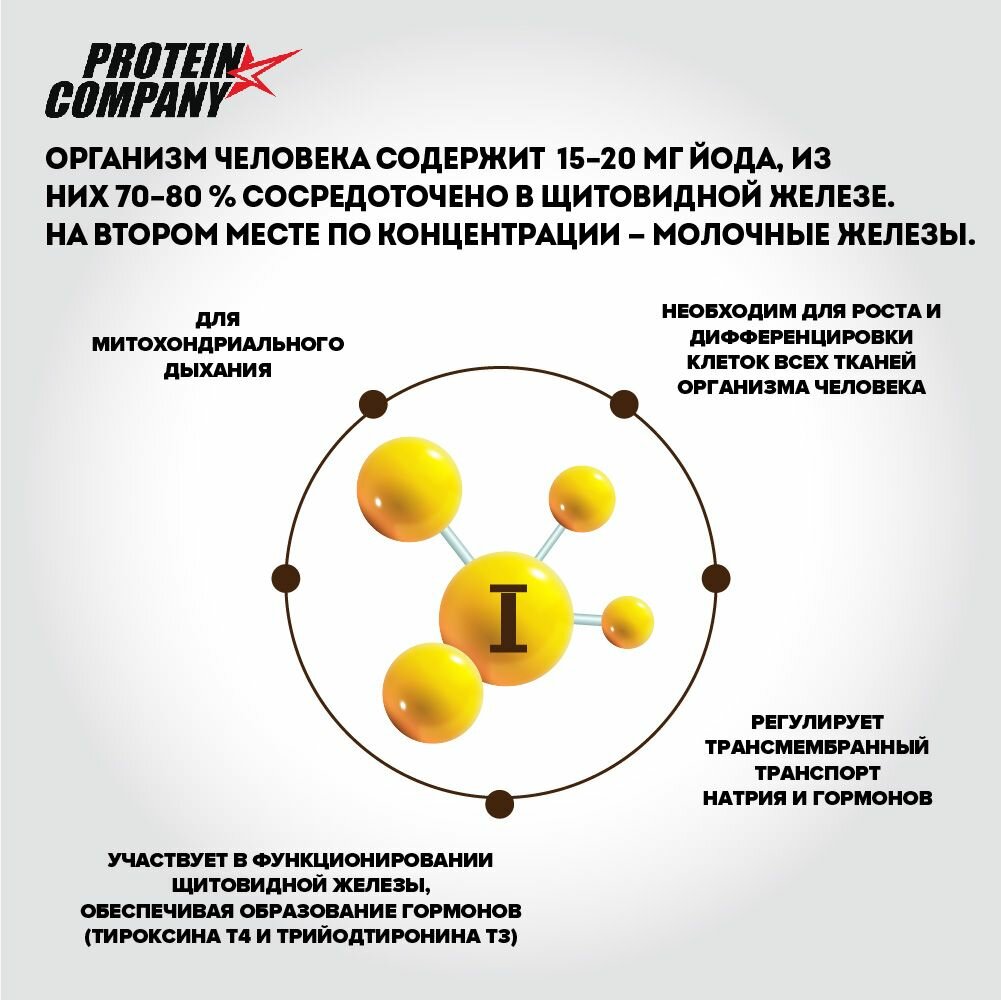 Картинки Калия йодат 300 мкг PROTEIN.COMPANY, Йод для щитовидной железы, иммунитета, мозга, 90 таблеток