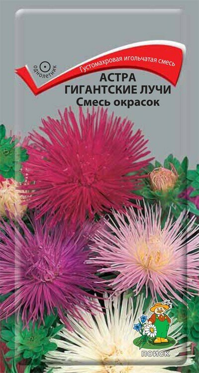 Астра "Поиск" Гигантские лучи красная 0,3г