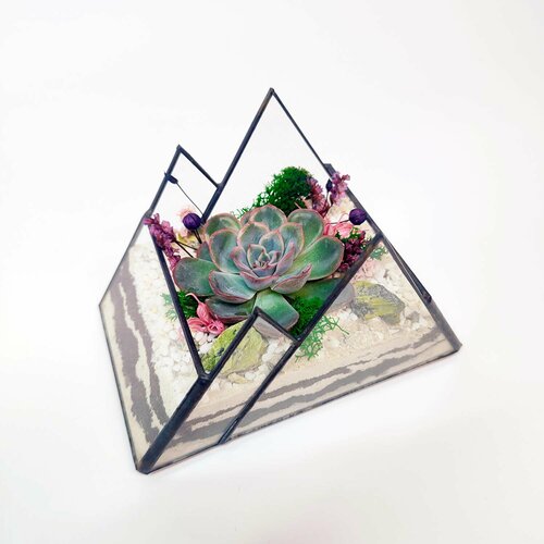 Флорариум с суккулентами 