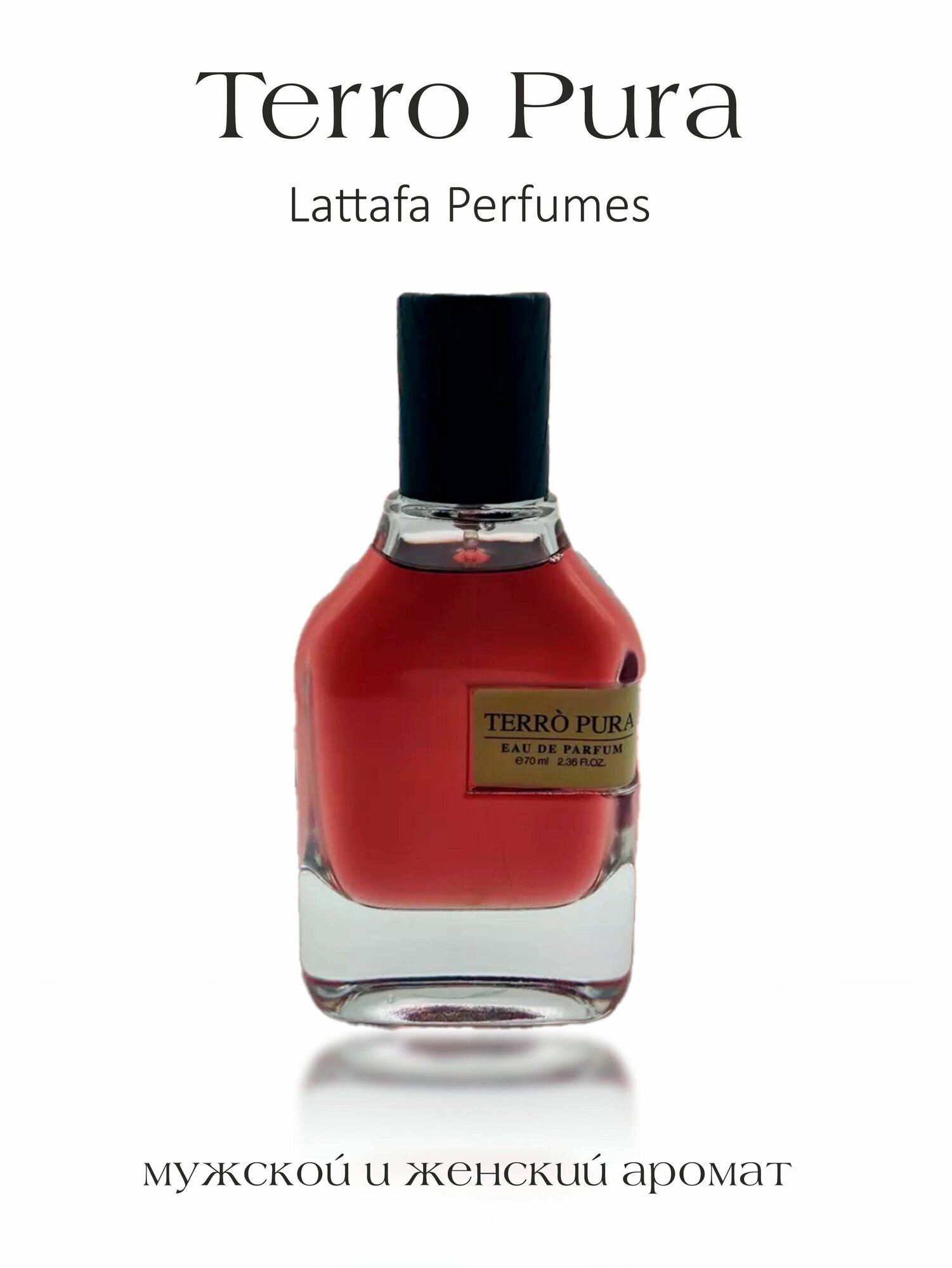 Парфюмированная вода Fragrance World Terro Pura, мужская, 100мл