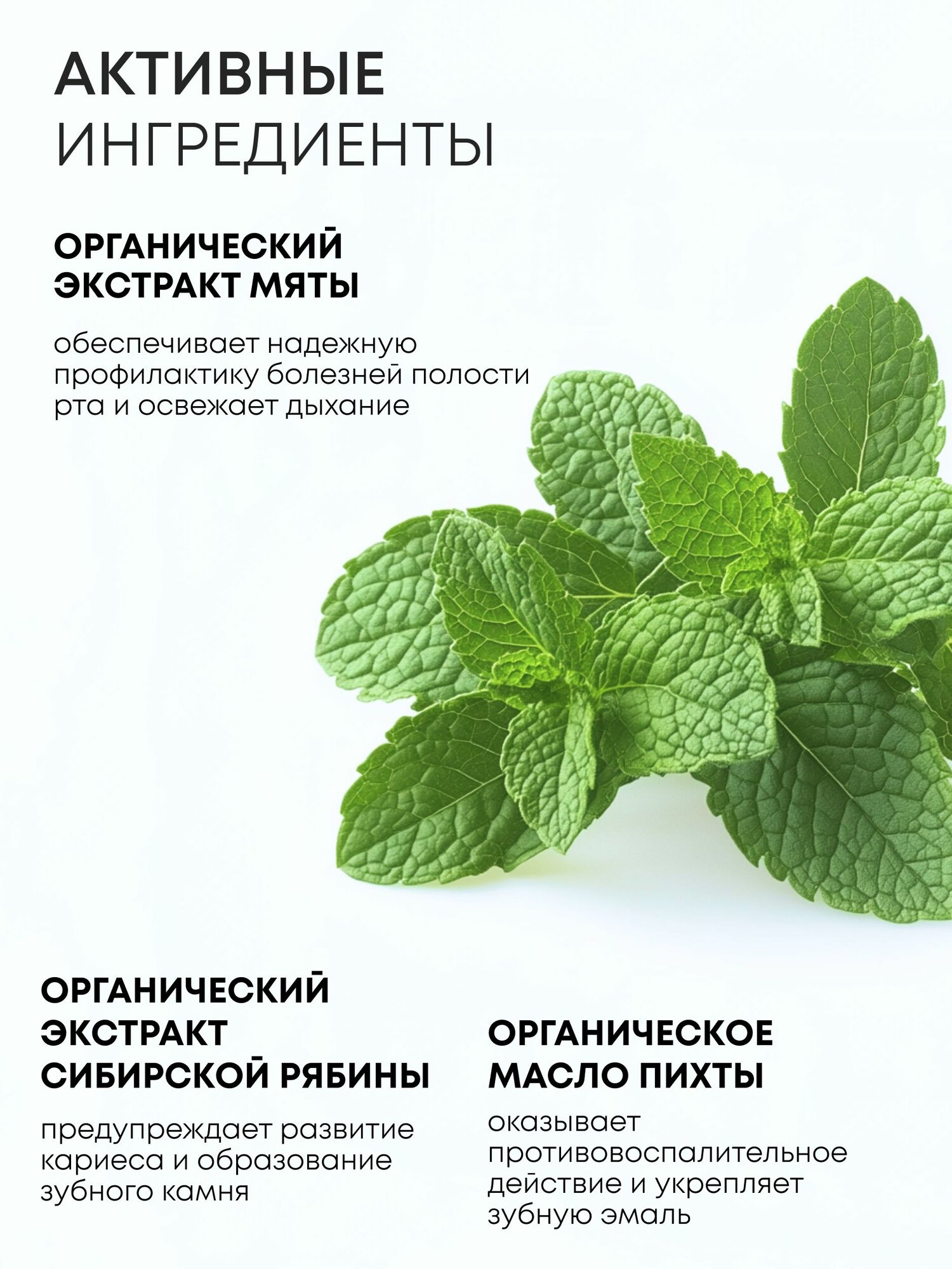 Natura Siberica Детская зубная паста Мятный холодок Siberica Бибеrika, 50 мл — фото 1