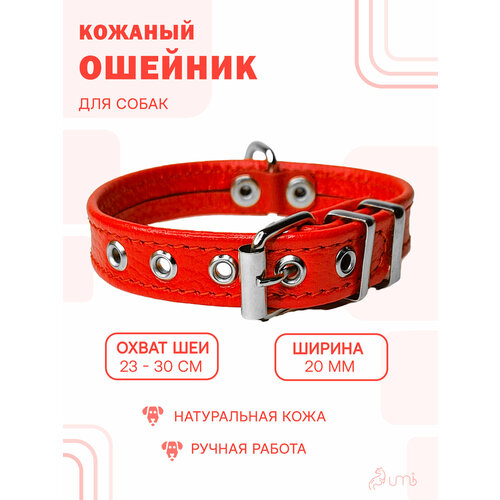 Кожаный ошейник (обхват шеи 23-30 см.) для собак / Красный цвет