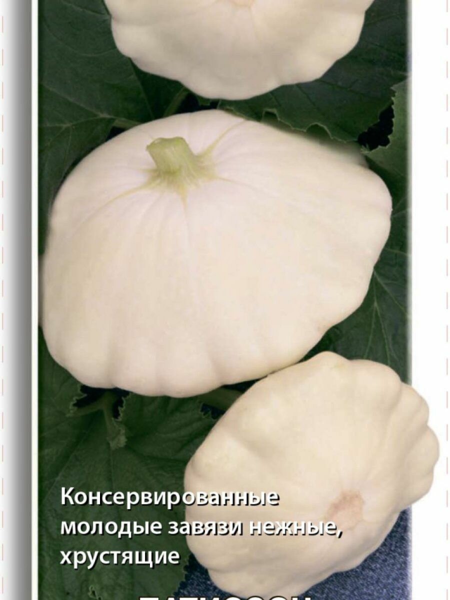 Семена Патиссон Диск 12 Поиск