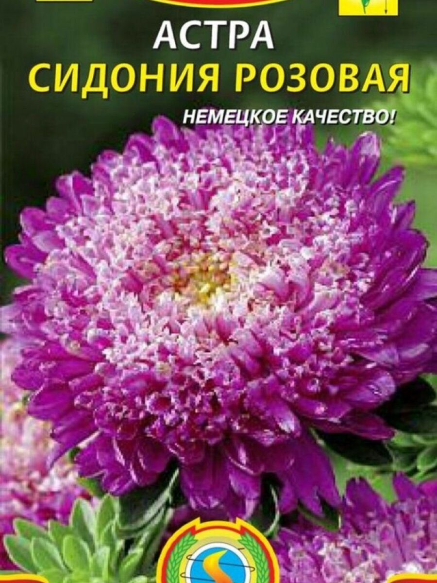 Семена Астра Сидония Розовая 02 гр Плазменные семена