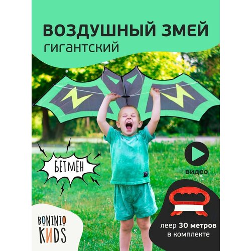 Воздушный змей для детей и взрослых большой