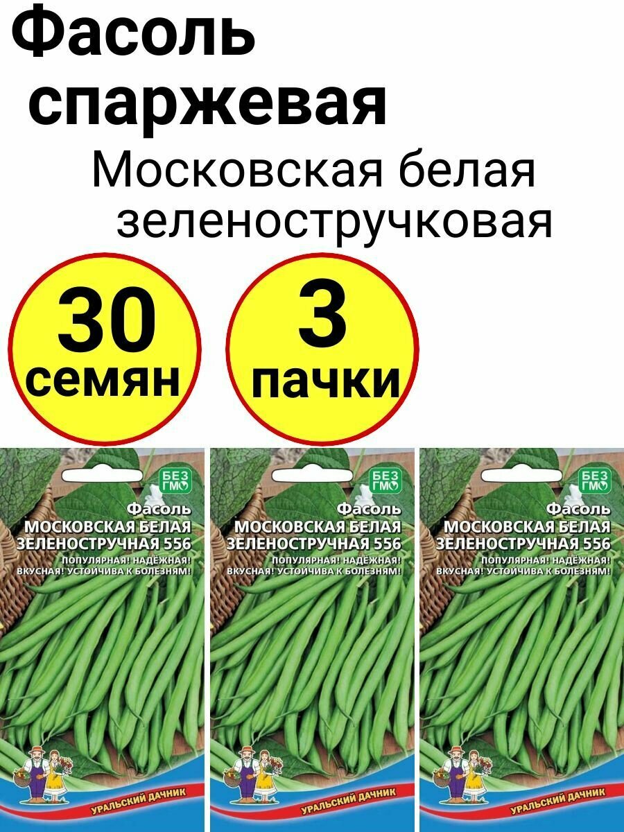 Фасоль спаржевая Московская белая зеленостручковая 556, 10шт, Уральский дачник - комплект 3 пачки