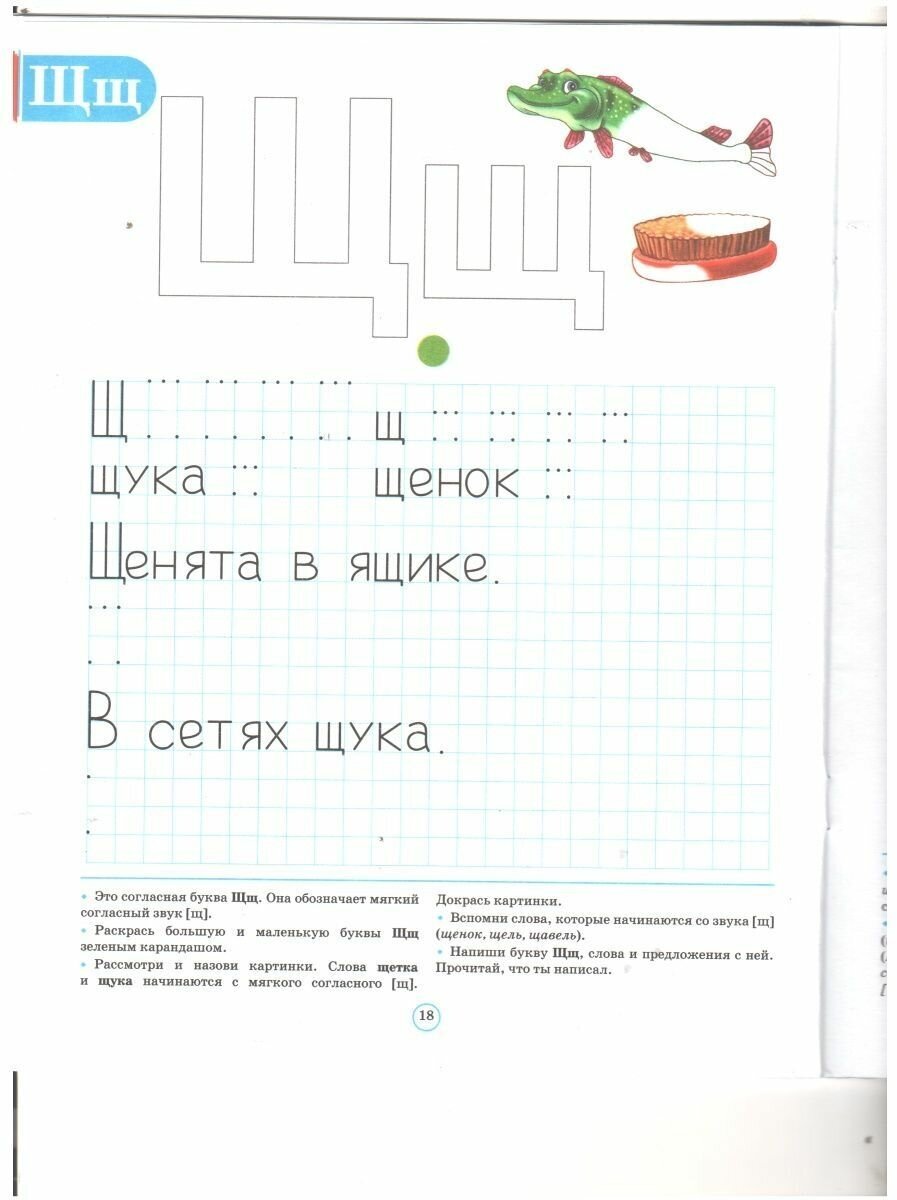 Тетрадь для обучения грамоте детей дошкольного возраста № 3. - фото №13