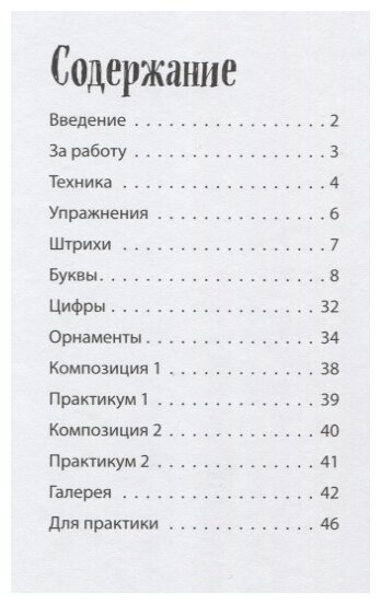 Леттеринг мелками и меловыми маркерами Новые проекты Прописи Каллиграфические шрифты - фото №2