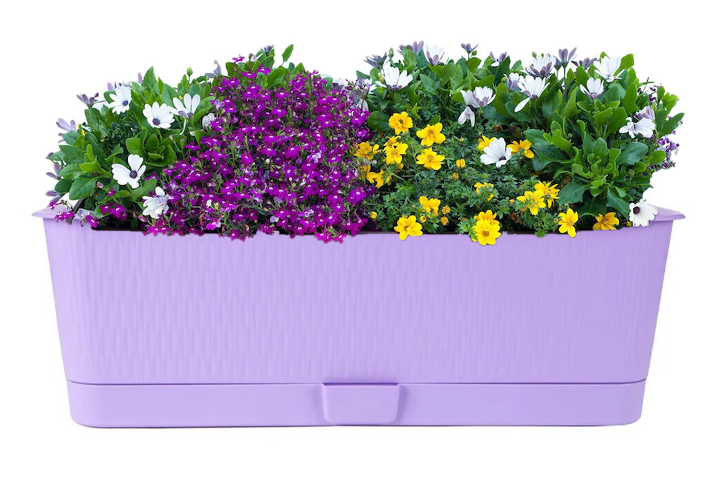 Балконный ящик для цветов "Прованс" с поддоном 6,0л лавандовый пластик 40х17х13 см