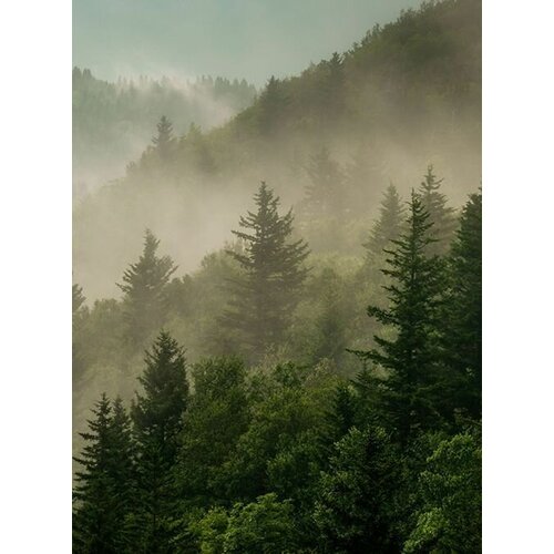 Моющиеся виниловые фотообои Туман над горами, 200х270 см