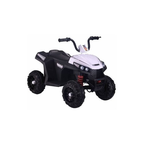 RiverToys Квадроцикл T111TT, белый