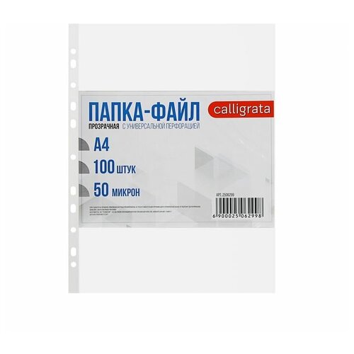 Файл-вкладыш А4, 50 мкм, Calligrata Люкс, глянцевый, вертикальный, 100 штук, микс папка вкладыш с перфорацией berlingo а4 70мкм глянцевая 50 шт в упаковке