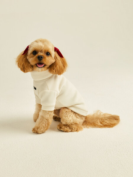 Джемпер для животных Zarina, цвет Белый, размер S (RU 44)