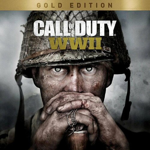 Игра Call of Duty WWII для PlayStation 4 на английском языке Турция 542₽