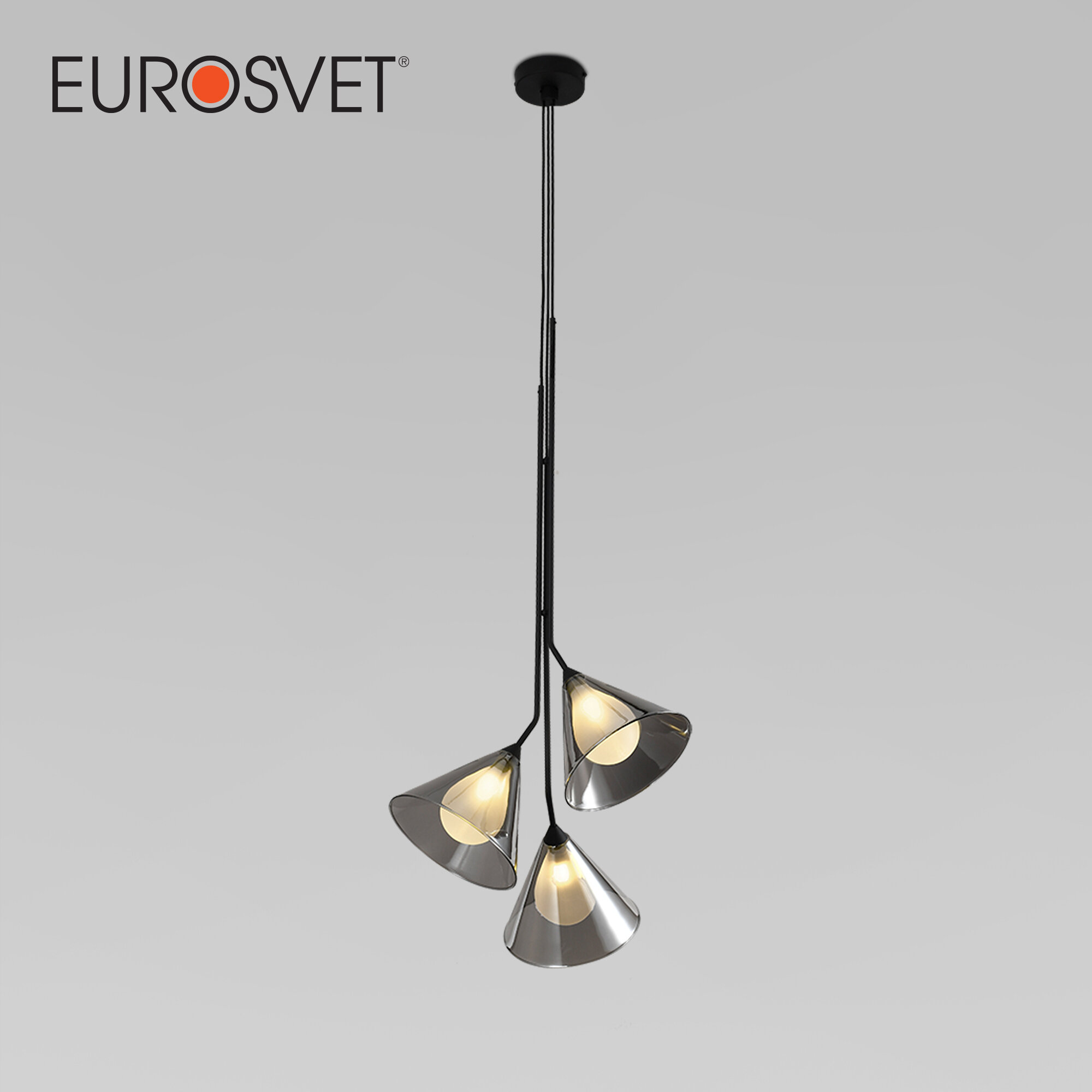 Люстра / Подвесной светильник Eurosvet Enigma 70161/3 G9 3*20 Вт цвет черный