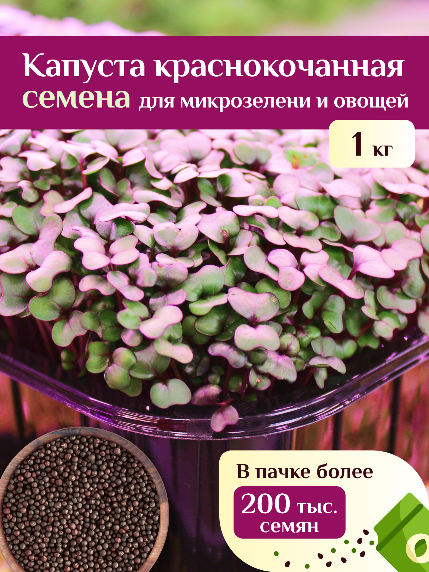 Капуста краснокочанная для микрозелени и овощей Ильинские проростки 1кг
