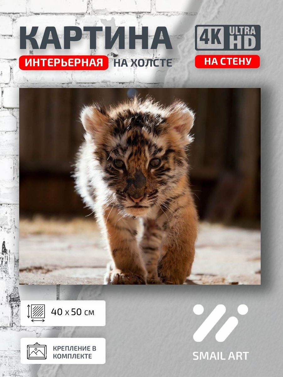 Картина на холсте интерьерная 40 на 50 на стену Тигренок Animal для спальни animal style